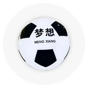 Large Blister Luminous Signboard